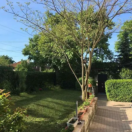 Byala Guest house