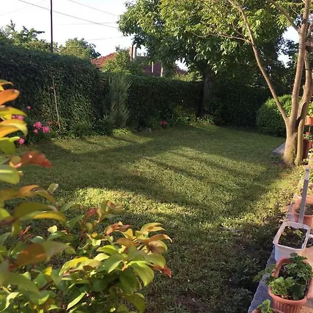 Byala Guest house