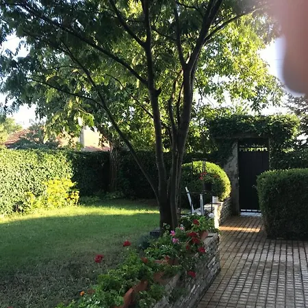 Byala Guest house Byala (Varna)
