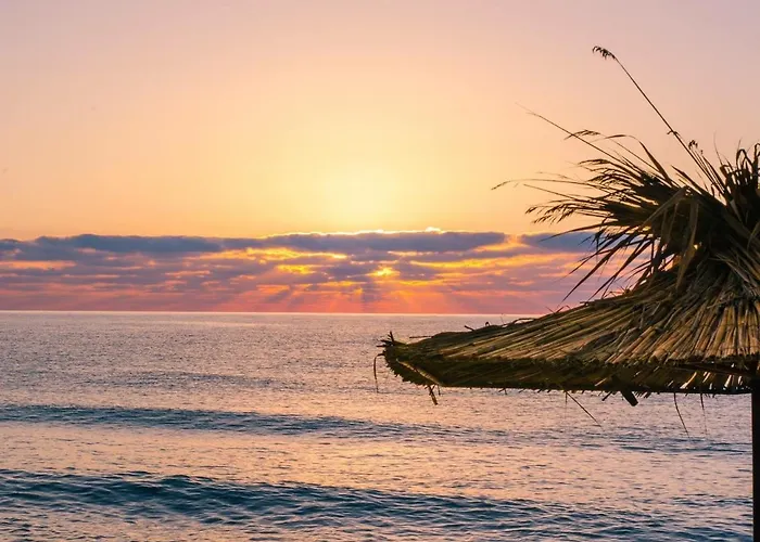 Guest house Byala 4*